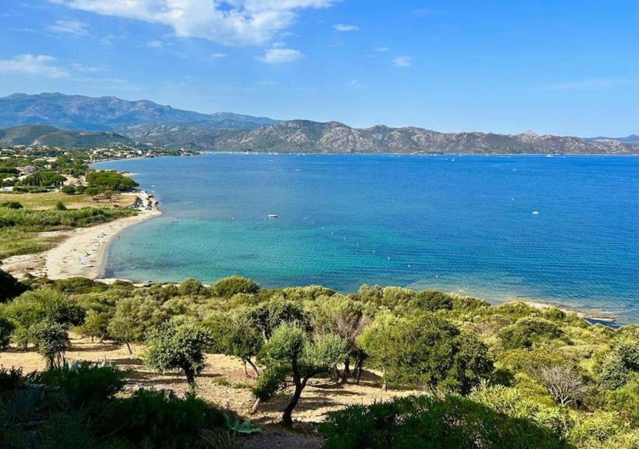 Saint-florent, Sublime Vue 5mn A Pied Patrimonio