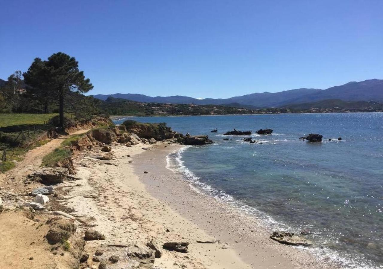 Appartement Saint-florent, Sublime Vue 5mn A Pied Patrimonio